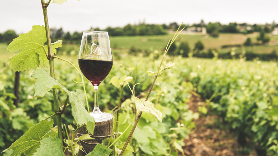 Changements de comportement du consommateur de vin et innovations