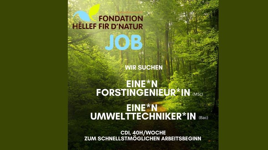 La Fondation Hëllef fir d'Natur de natur&ëmwelt recrute !