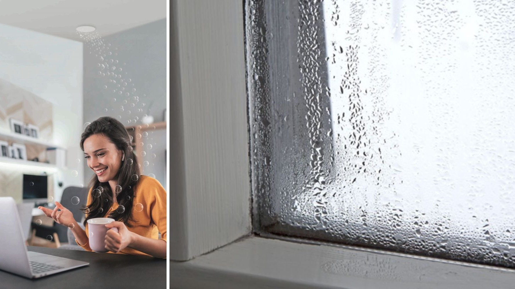 Condensation dans les habitations bien isolées : un problème sous-estimé