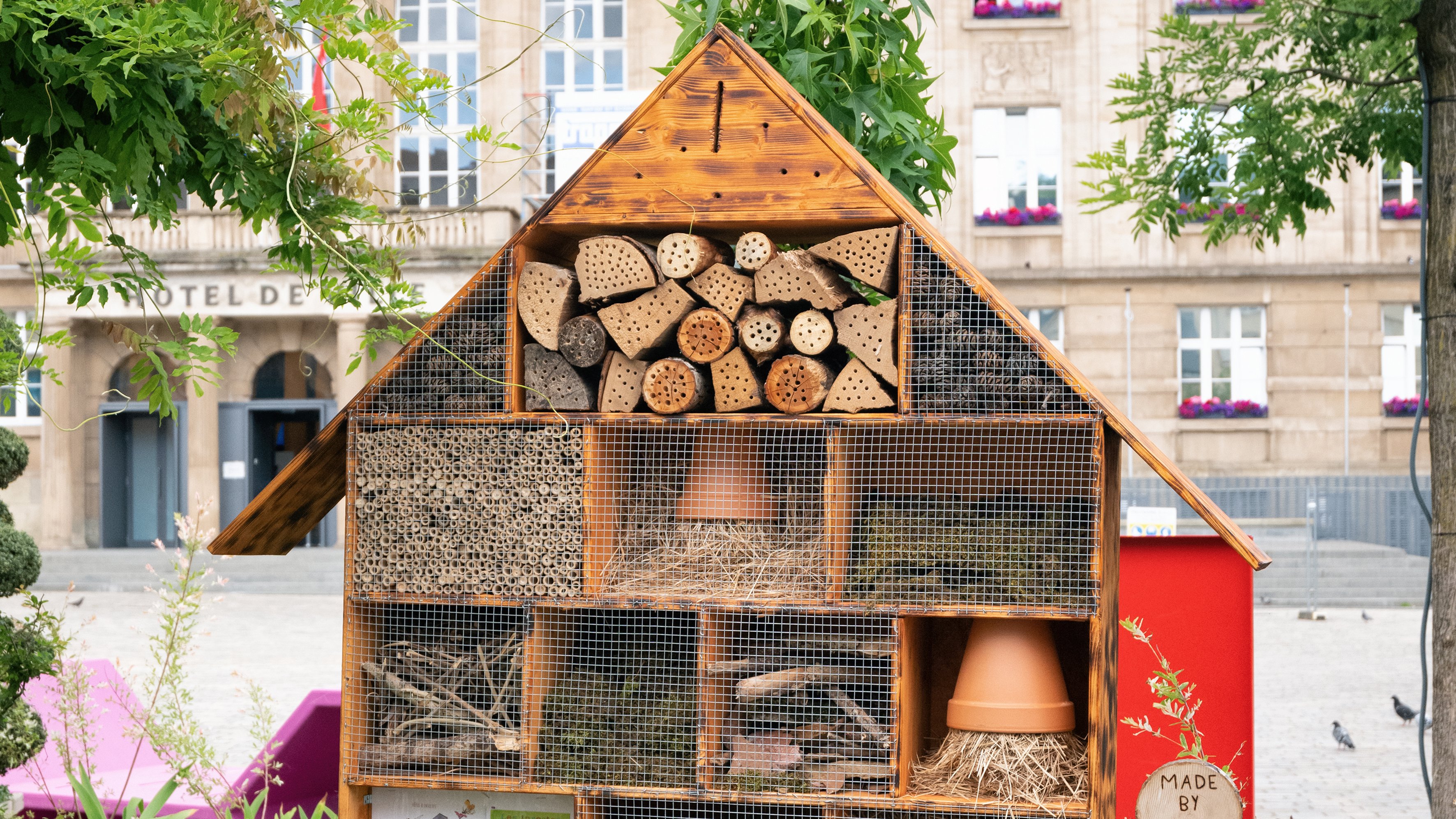 La Ville d'Esch-sur-Alzette, nouveau partenaire d'In4Green !