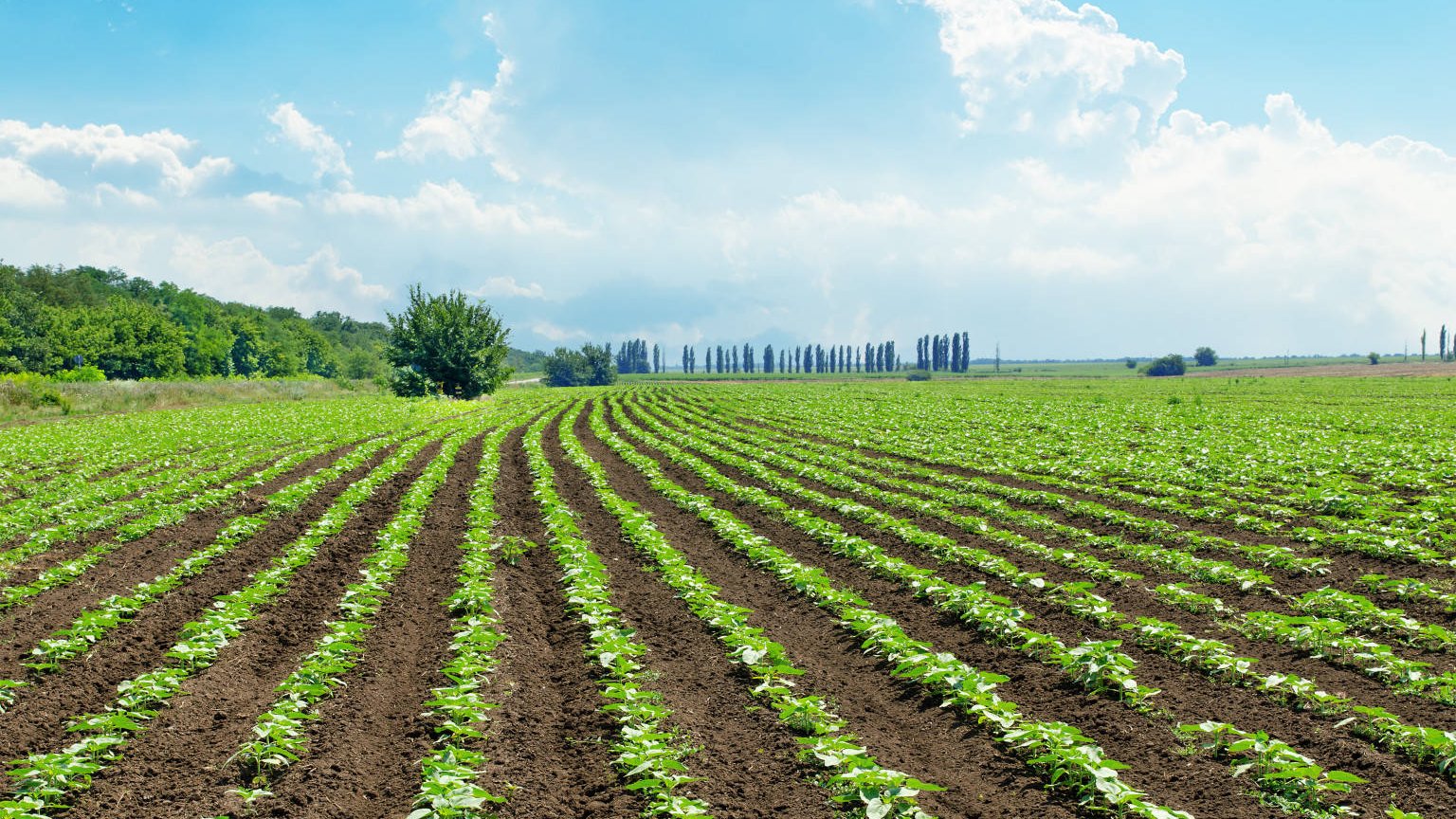 La semaine pour les alternatives aux pesticides fête ses 10 ans !