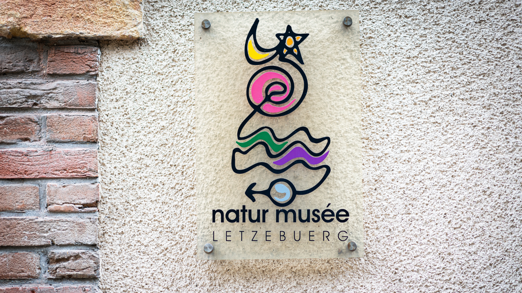 Deux expositions exceptionnelles au Musée national d'histoire naturelle