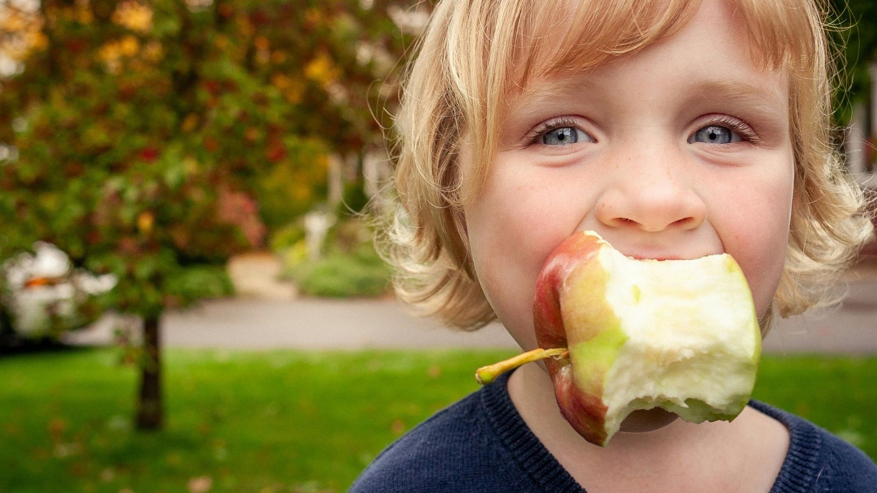 Le Luxembourg se dote d'un plan d'action national pour une alimentation durable