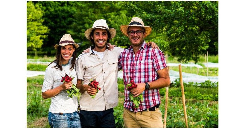Terra : retour aux racines de l'agriculture traditionelle !