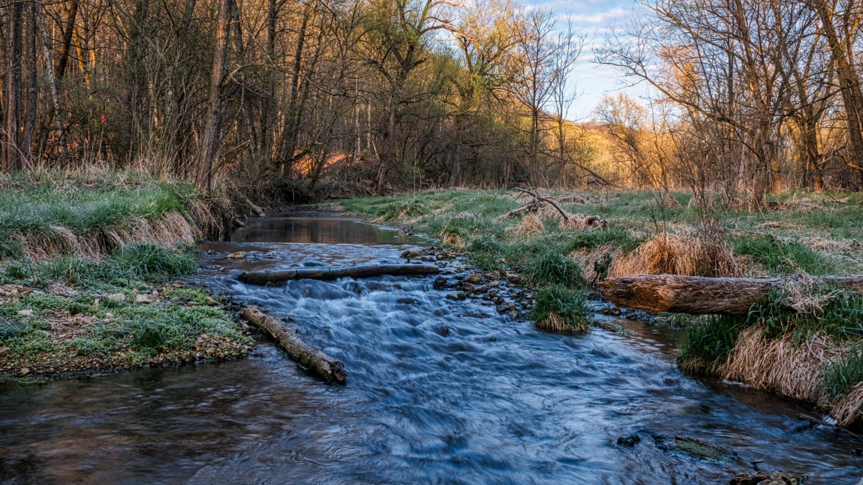 Renaturéierungsdësch, premier pas vers une nature plus résiliente