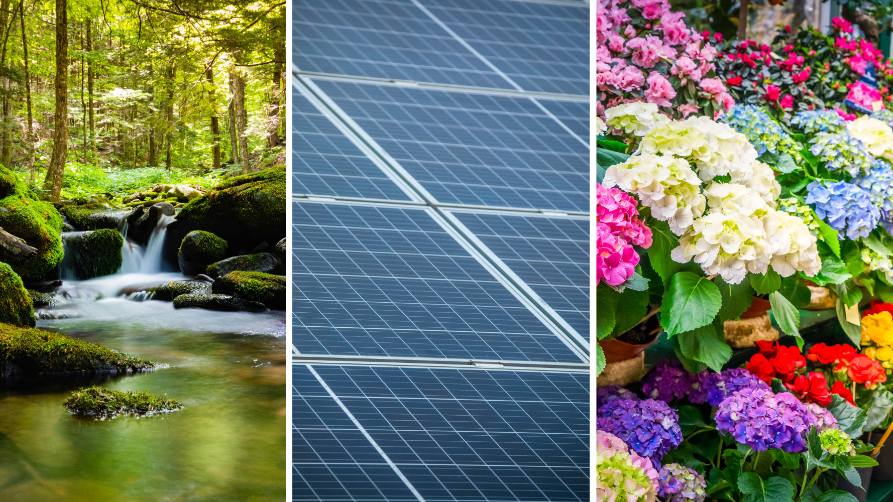 Les événements à ne pas manquer ce week-end - 25 et 26 avril