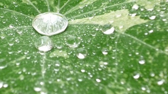 L'eau, une ressource vitale