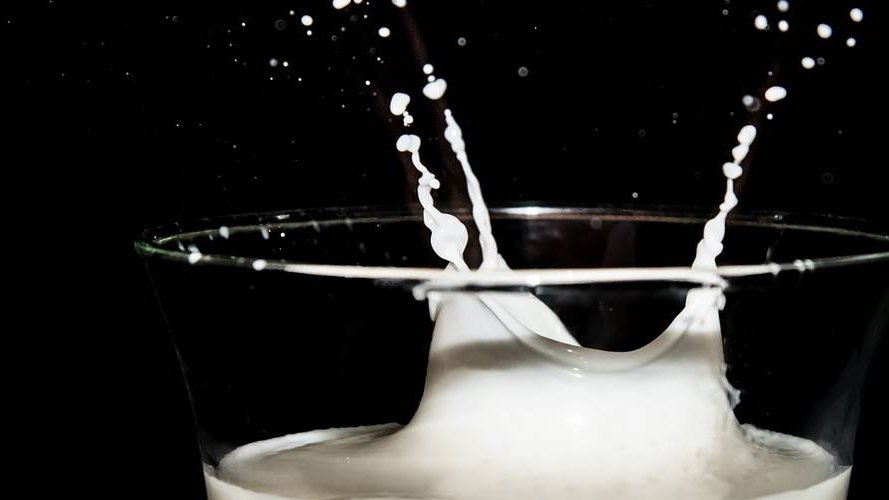 HUNGRY PLANET : Das System Milch (DE)