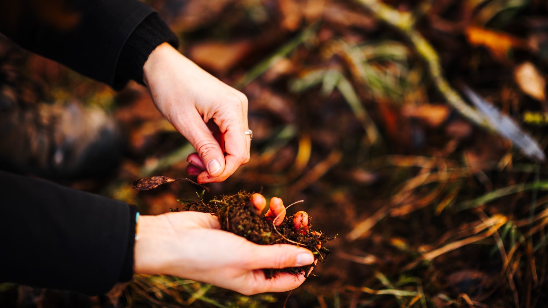 L'Œuvre Nationale a lancé l'appel à projets reNature 2