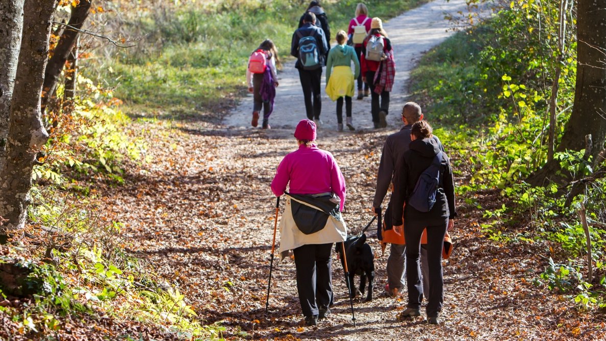 10e édition de la Marche Gourmande Alternative