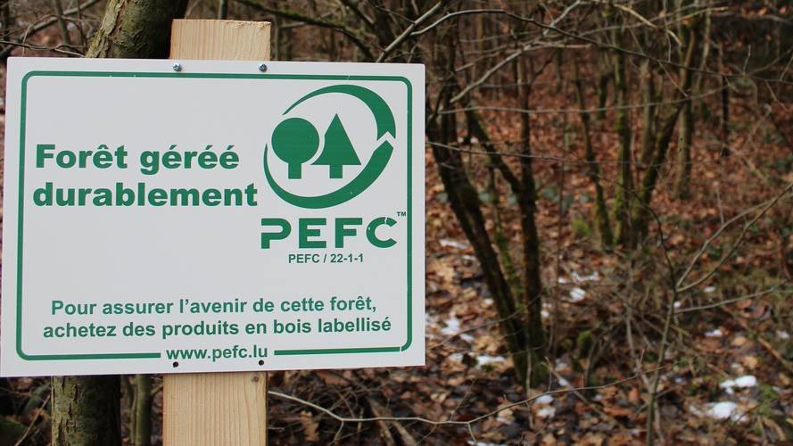 La gestion durable de la forêt selon les critères PEFC