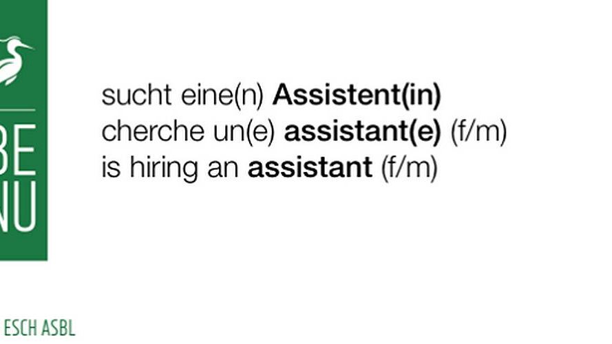 Benu Village Esch a.s.b.l recrute !