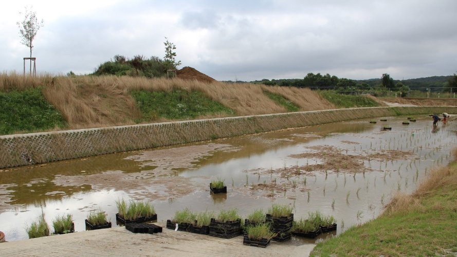 Agir en amont pour la qualité de nos cours d'eau et réutiliser l'eau pluviale