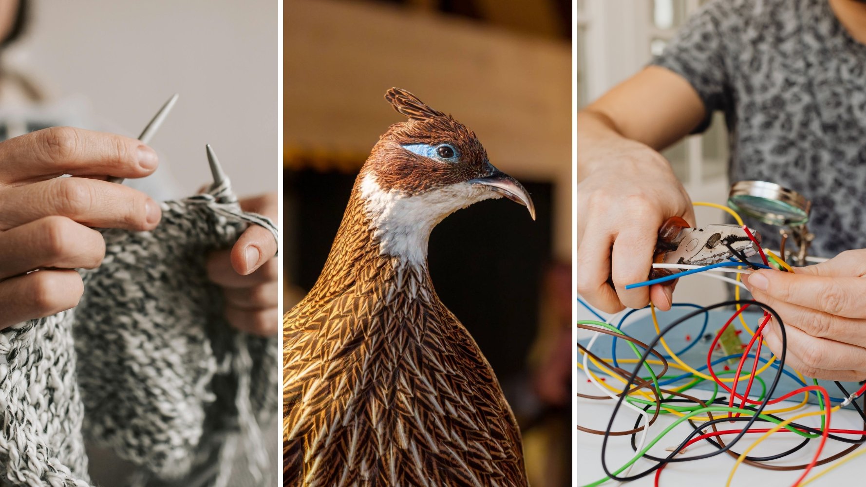 Les événements à ne pas manquer ce week-end - 21 et 22 février