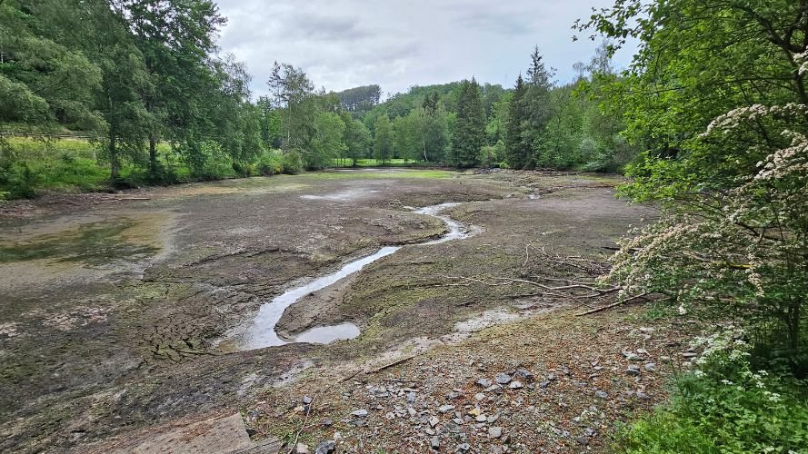 La Fondation Hëllef fir d'Natur redonne vie à la vallée du Wemperbach