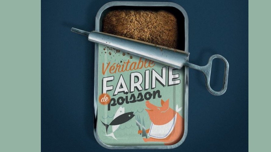 De la confiture aux cochons : l'envers du décor de l'aquaculture