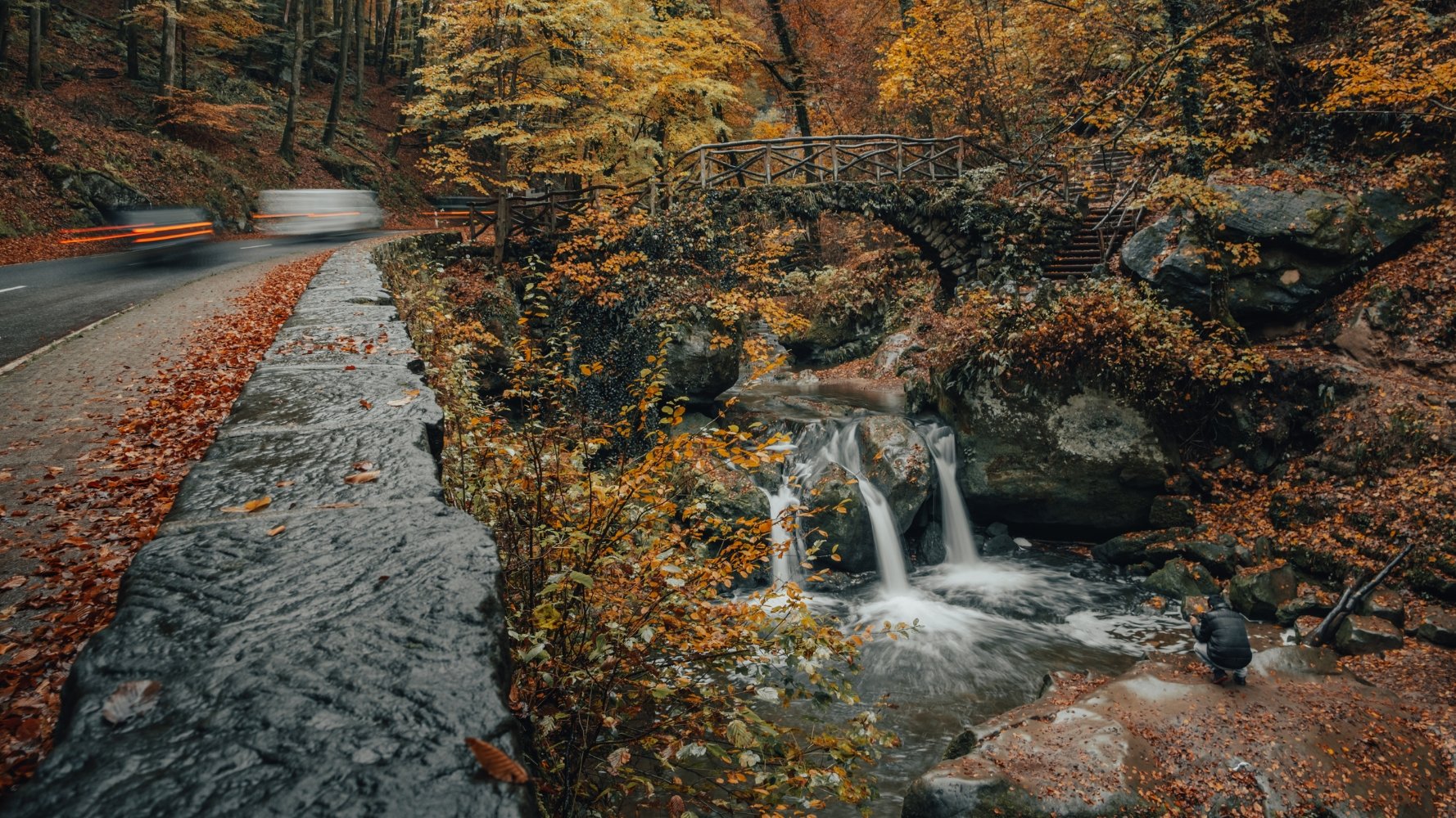 Renaturation des cours d'eau : retour à l'état sauvage