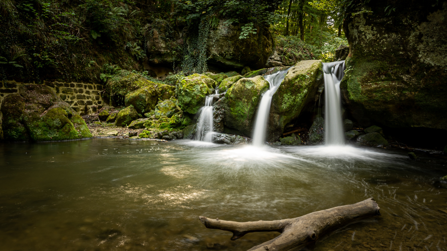 La nature dans tous ses états