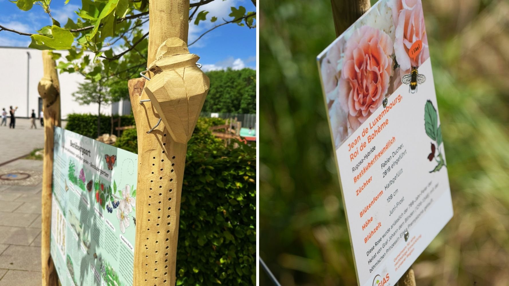 Le Luxembourg ouvre deux nouveaux refuges aux pollinisateurs