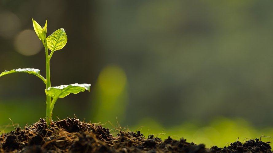 LuxFLAG grants Europe's first Green Bond Labels