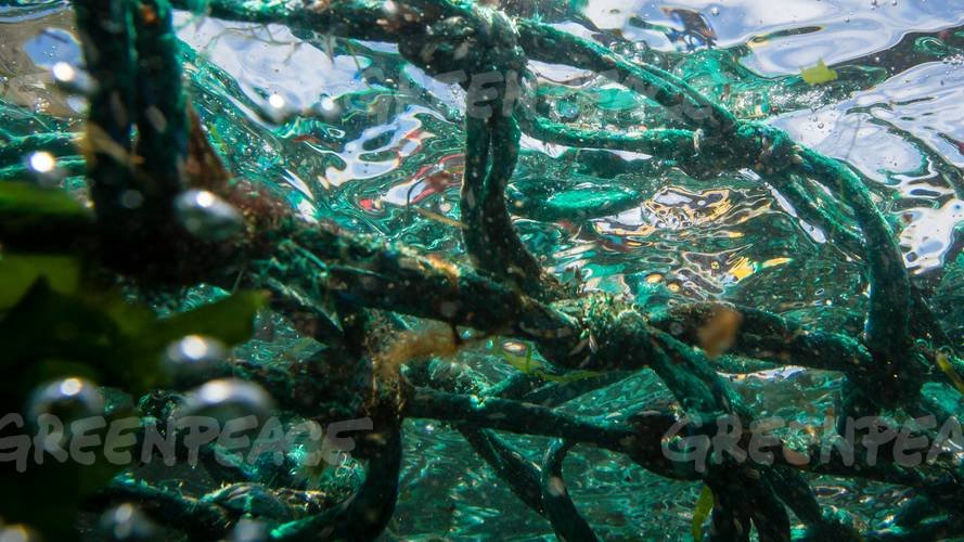 Greenpeace Luxembourg rejoint la lutte contre la pollution plastique
