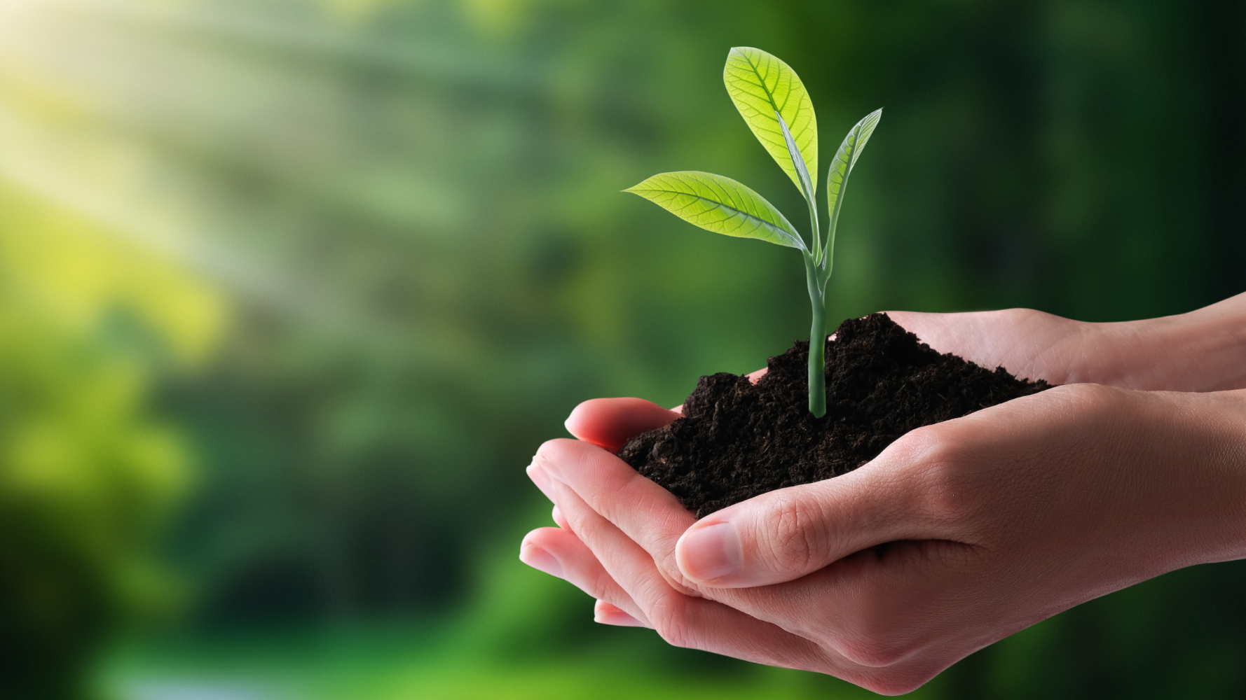 L'ISO 14001:2026 : une nouvelle édition pour le management environnemental