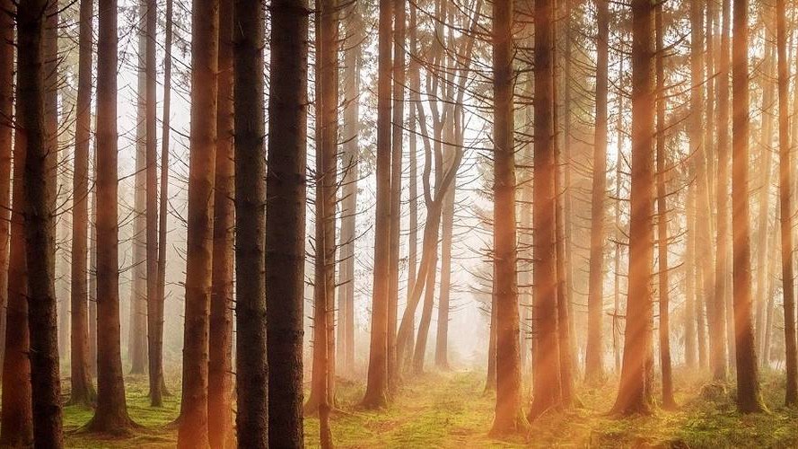 Why ESG ? The rationale behind sustainability in finance