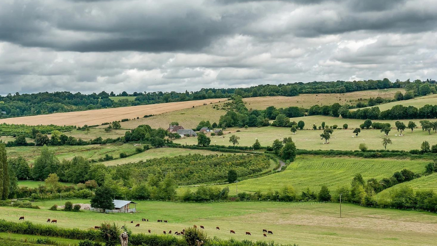 Plantez des haies et favorisez la biodiversité sur notre territoire !