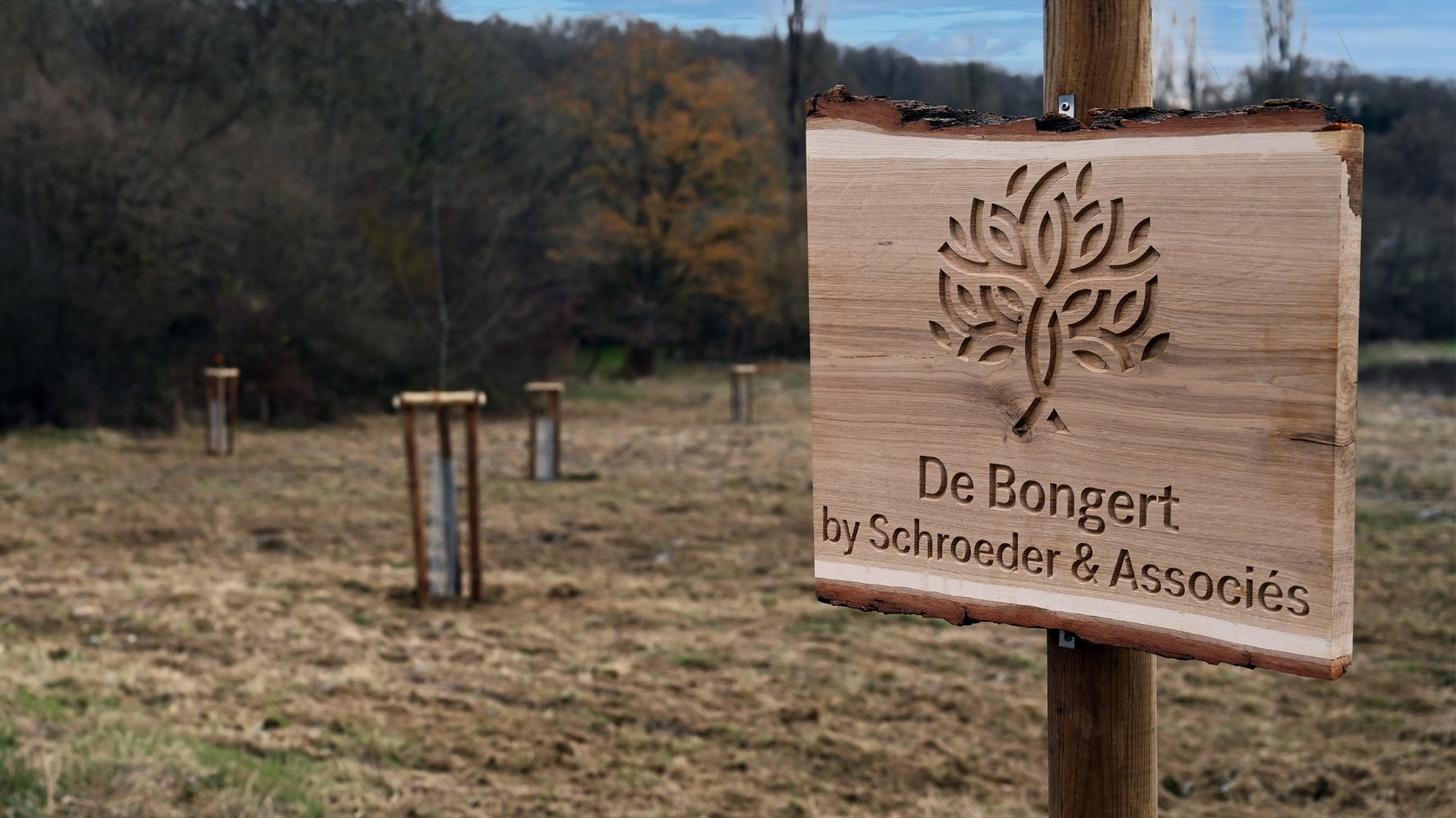 Le verger collaboratif « De Bongert by Schroeder & Associés »