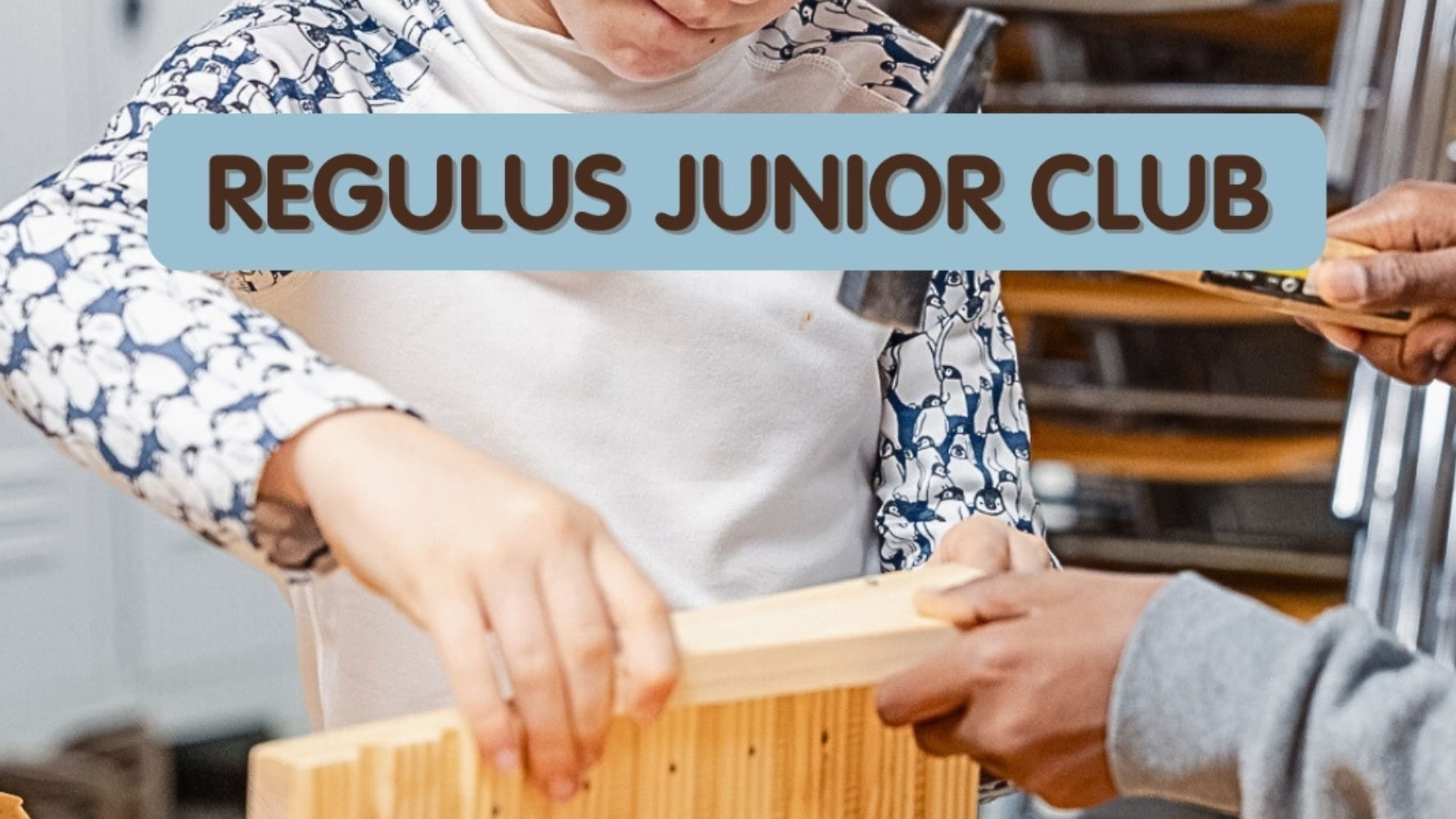 Regulus Junior Club - Construire pour la nature au Biodiversum