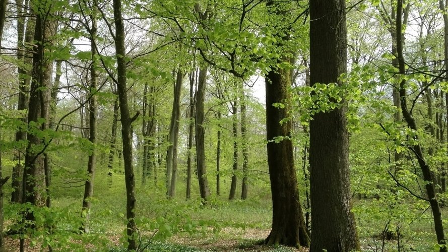 Les beautés de la nature mises en lumière, mais pas à n'importe quel prix