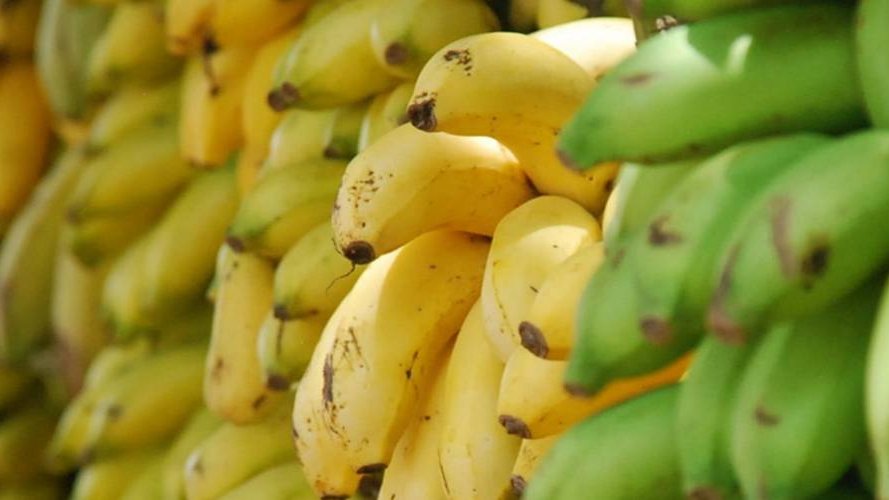 Make Bananas Fair