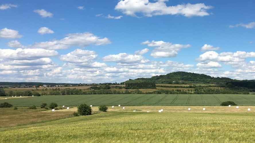 Visite guidée Schlammwiss