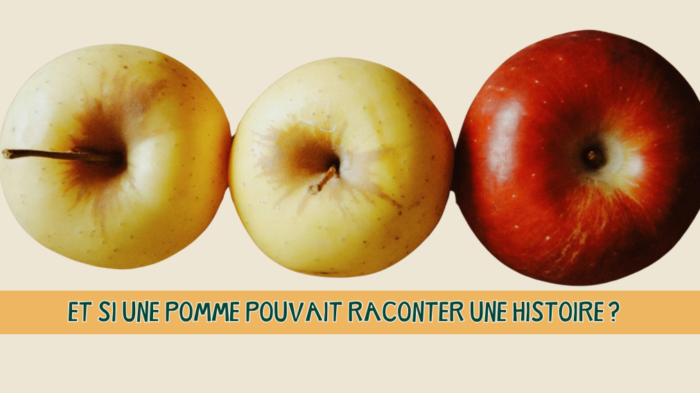 Alimentation : plusieurs rendez-vous pour comprendre et agir avec SOS Faim