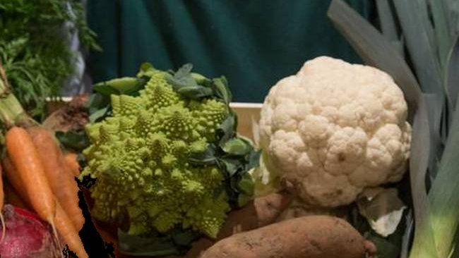 einen Auszubildenden (m/w/d) zum Verkaufsberater (m/w/d)