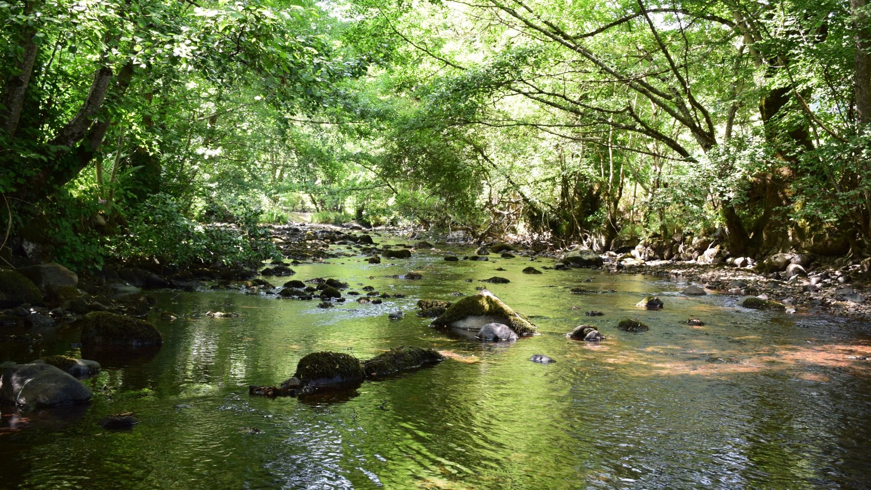 Une gestion en mouvement pour l'eau au Grand-Duché