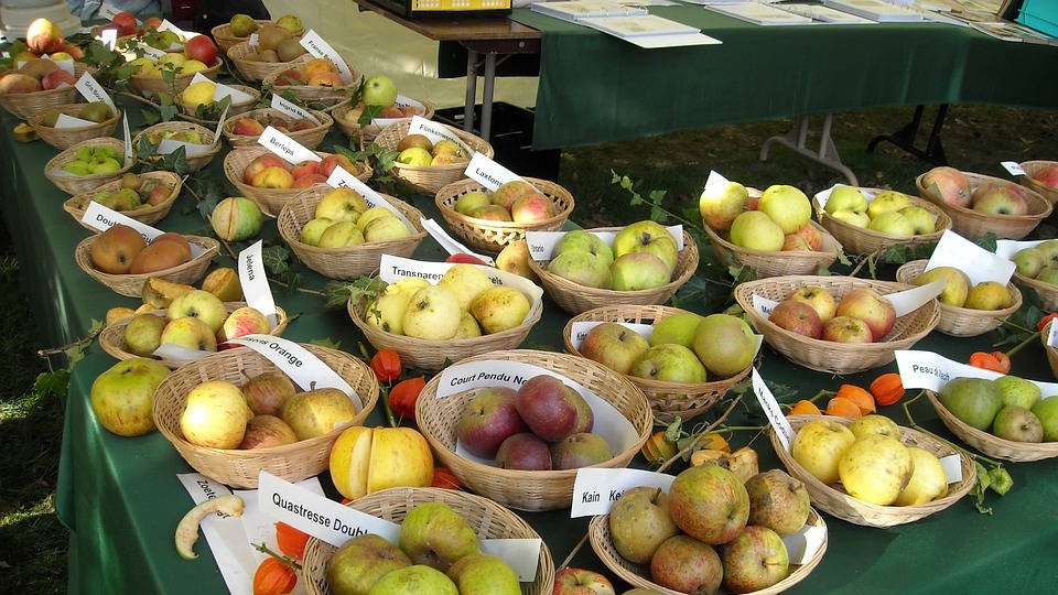 22 avril : Première journée de la biodiversité cultivée
