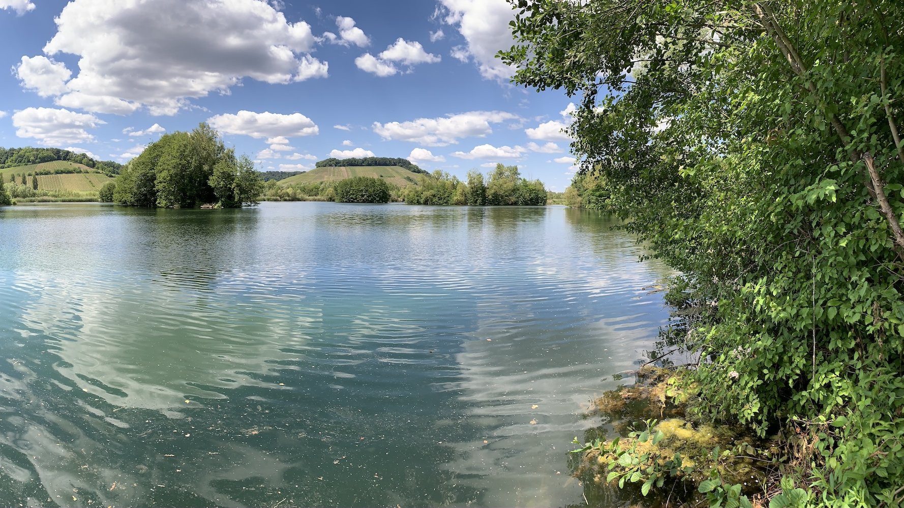 Procédures environnementales : levier clé pour des projets durables et sécurisés