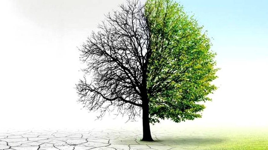 Amélioration du reporting sur le risque climatique