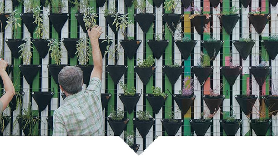 « Corporate Gardens » - Quand la nature s'invite en entreprise