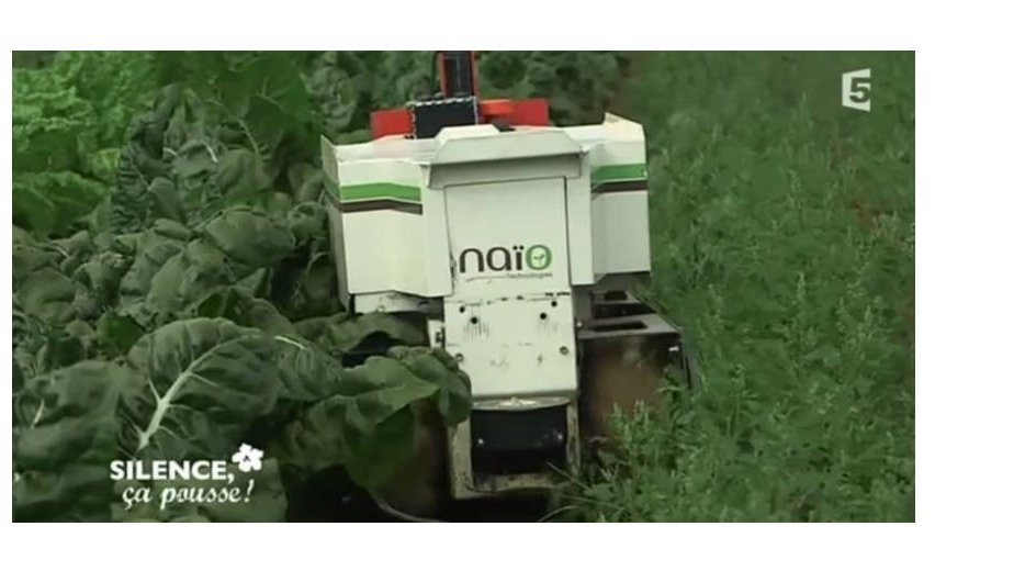 Robot Oz : le magicien du désherbage pour l'agriculture bio