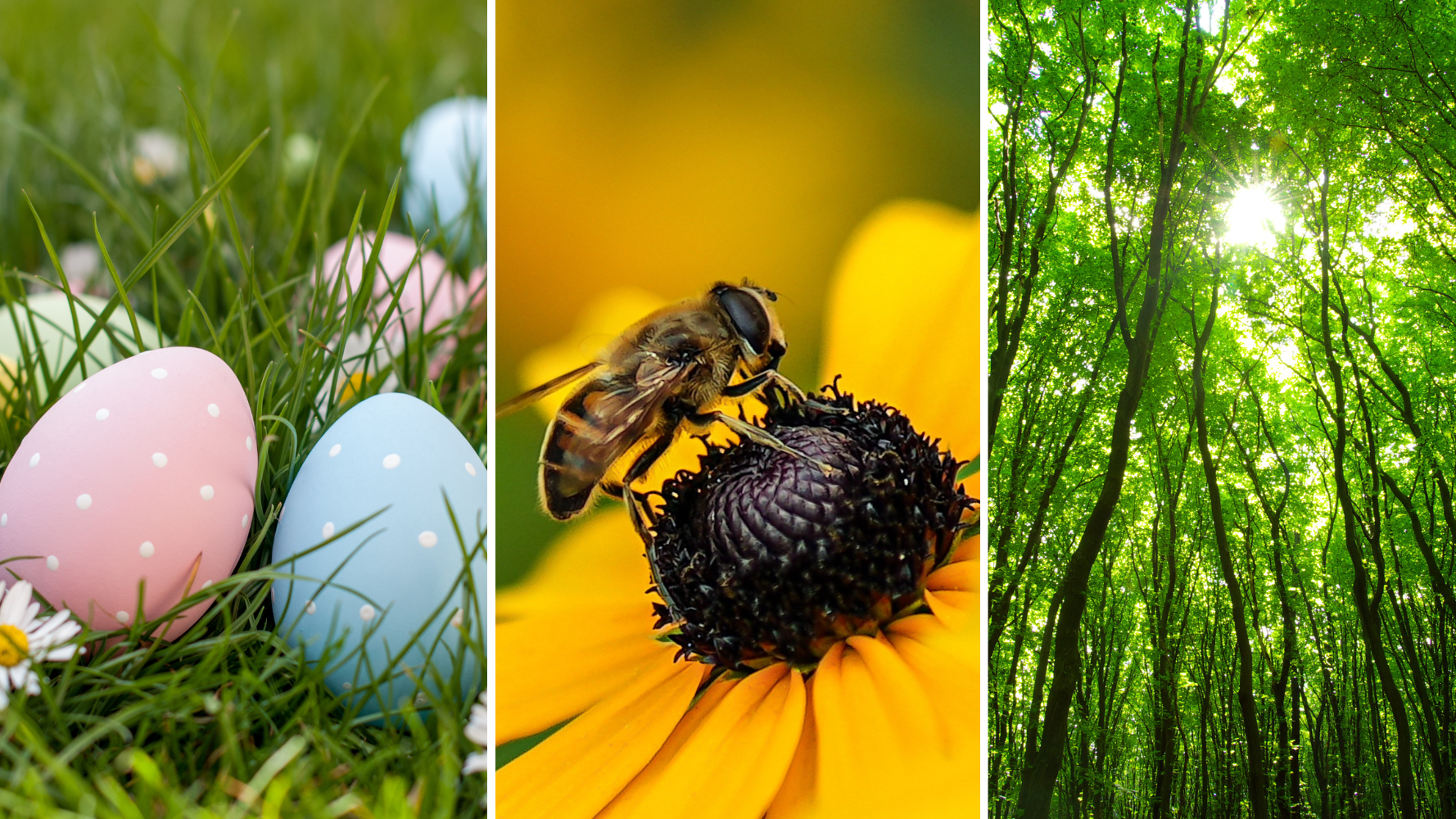 Les événements à ne pas manquer ce week-end - 04 et 05 avril