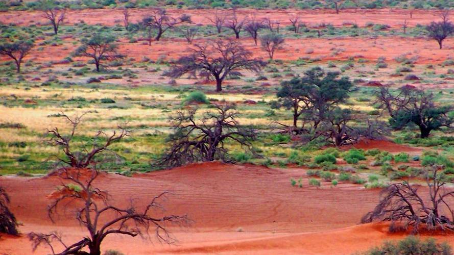 The Impending reality of Climate Migration and the Challenges for the European Union/ Luxembourg
