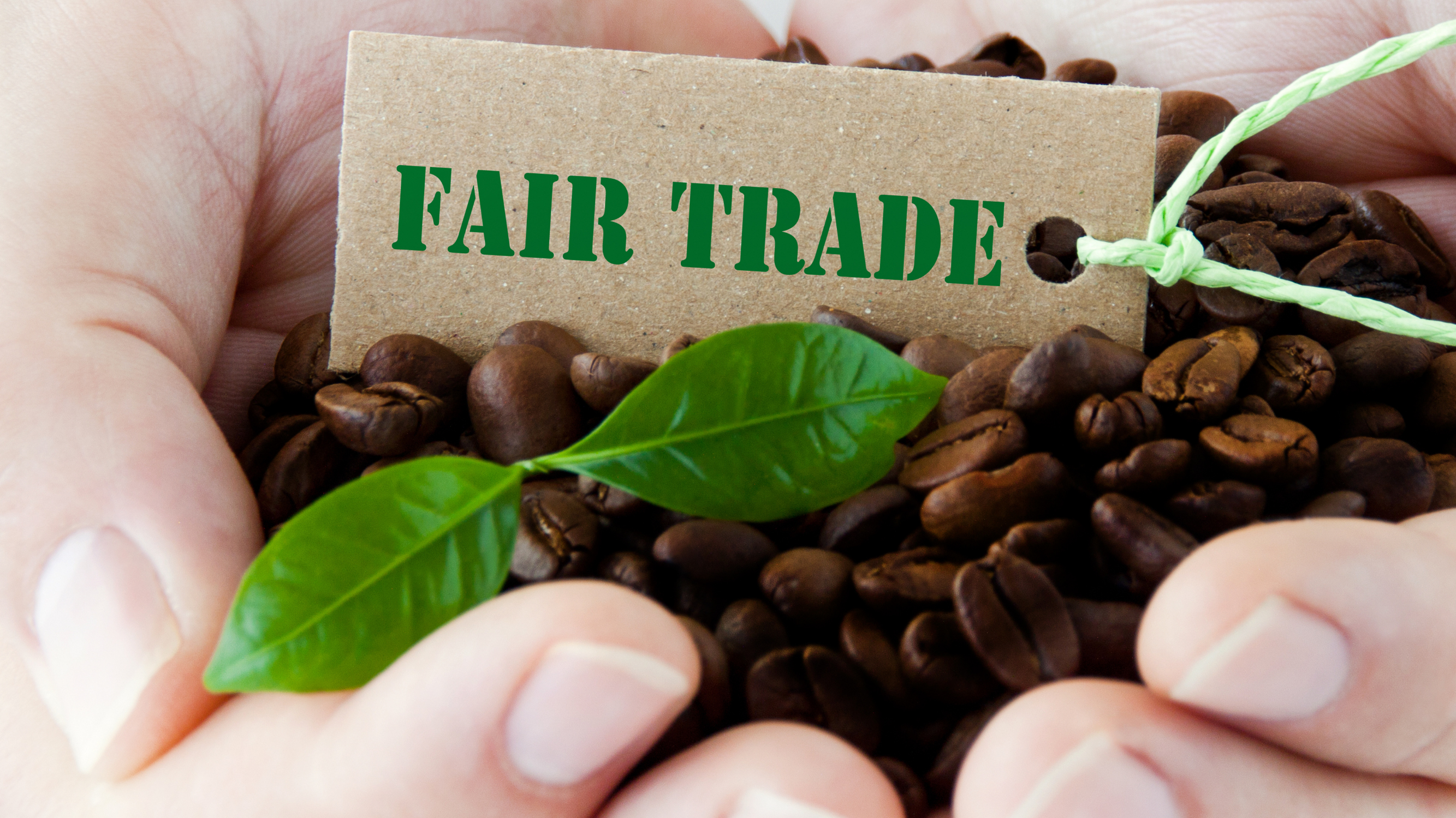 39 € en moyenne pour des produits Fairtrade