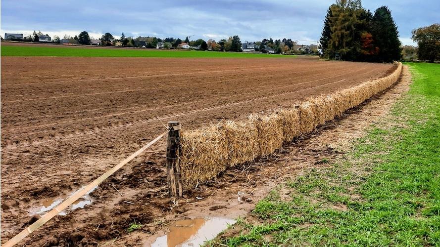 Clé de sol pour partition agricole