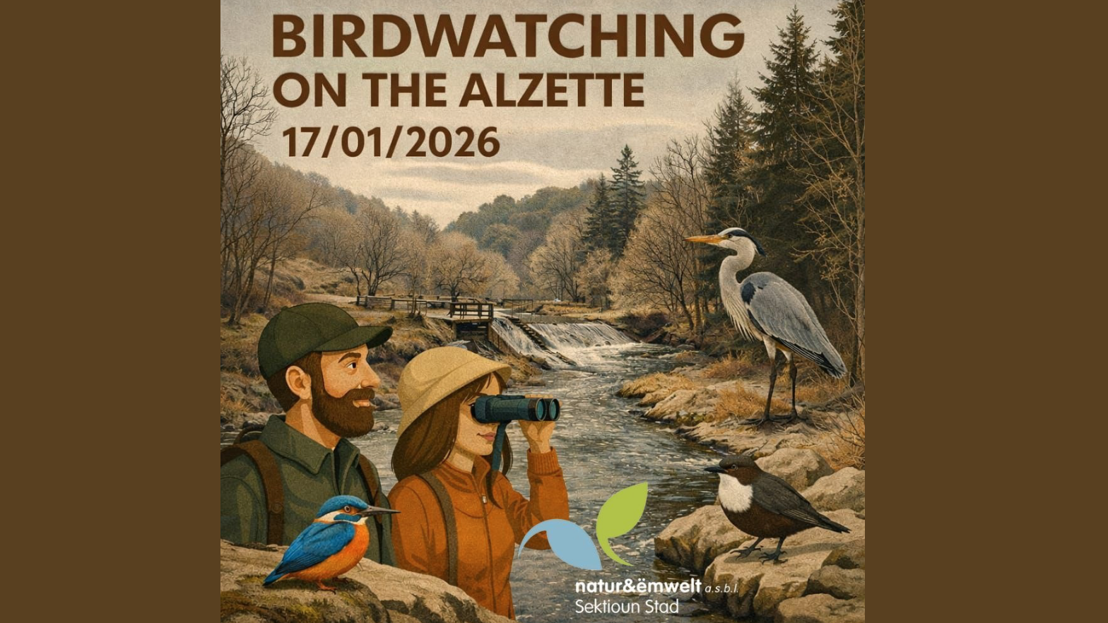 Birdwatching on the Alzette