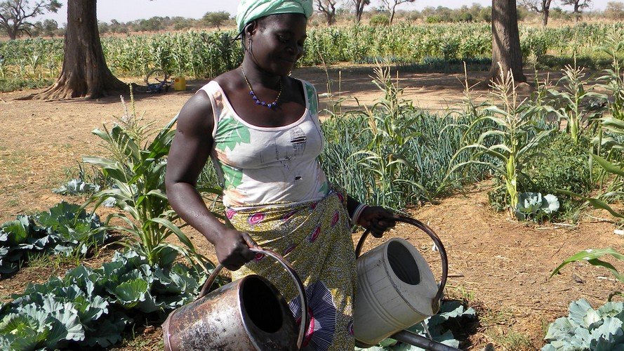 « L'agroécologie, un outil de transformation sociale »