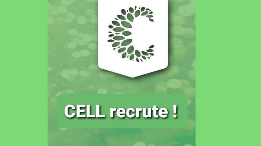 CELL asbl recrute !