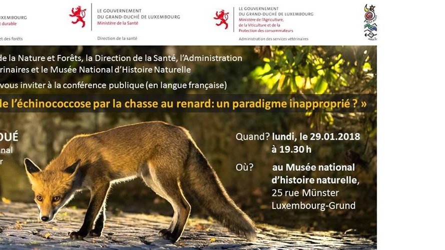 La gestion de l'échinococcose par la chasse au renard : un paradigme inapproprié ?