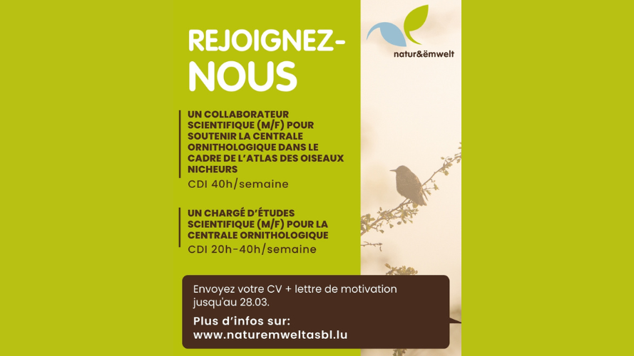 Collaborateur scientifique (M/F) pour soutenir la Centrale Ornithologique